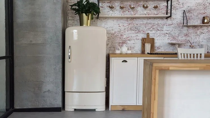 Retro-Inspired Refrigerator